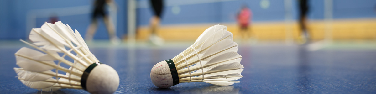 pge badminton activite.jpg